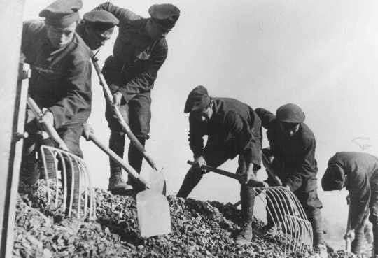Slovak Jewish men work at road building in a forced-labor camp.